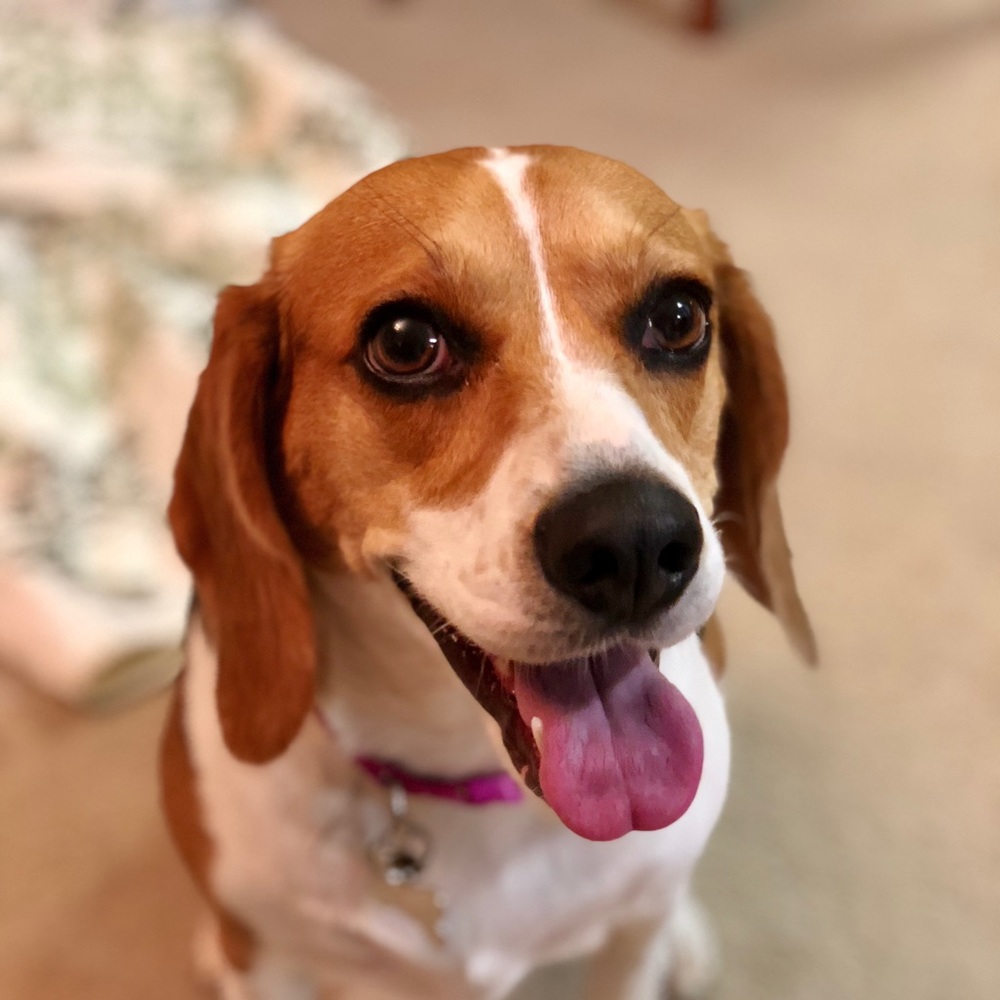 Meet your Posher, Lynn